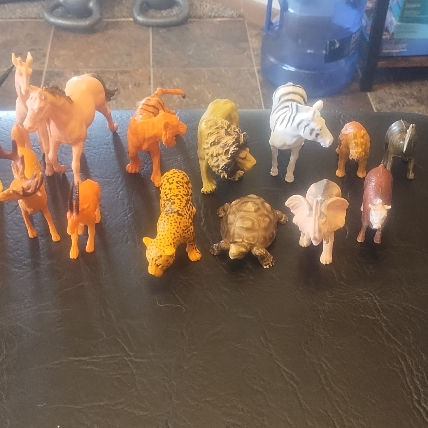 Educational Animal & Dinosaur Figures Toy Set Lot for Ages 3-4, 4-7, 8-11 Years