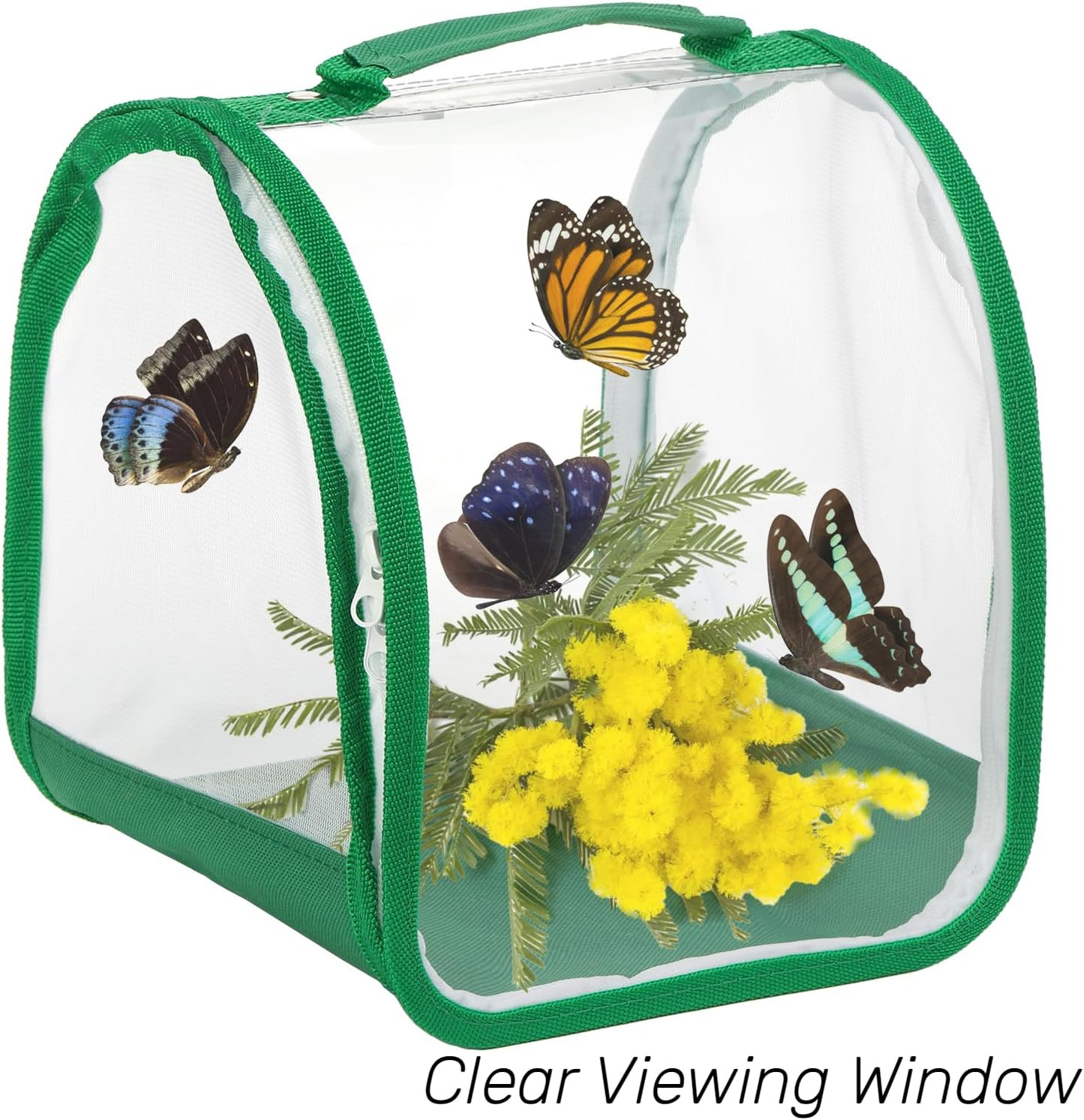 2 Pack Monarch Butterfly Habitat, 8″ Small Collapsible Insect Mesh Cage Terrariu