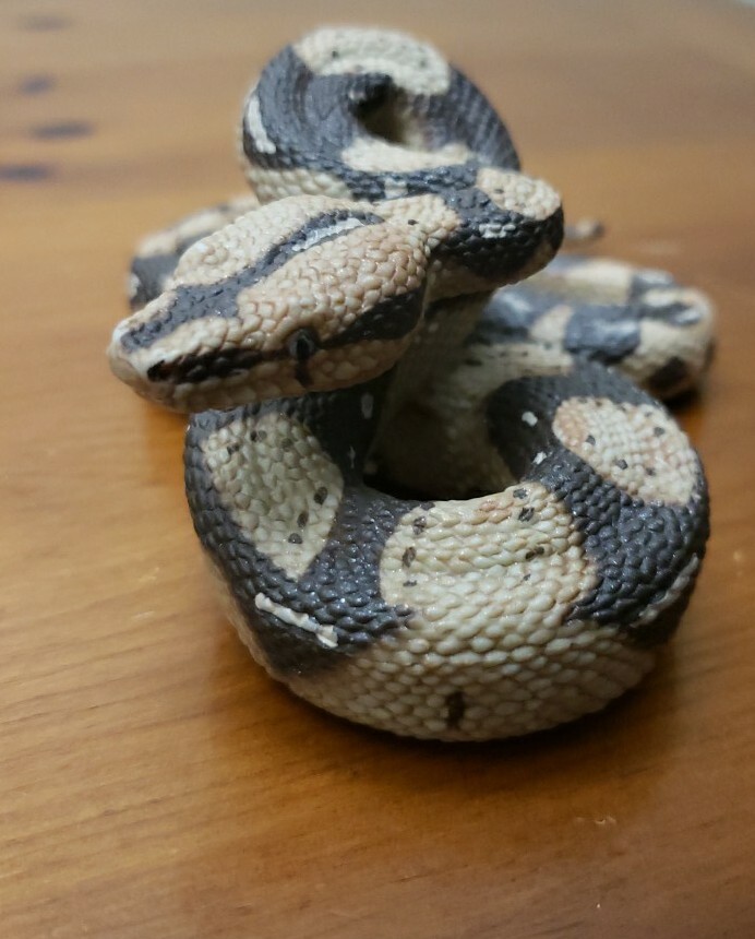 Boa Constrictor Python Realistic Toy Snake Education Prank Safari Ltd Animal Fig