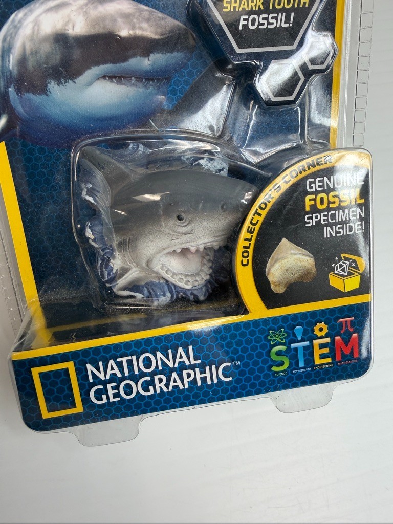Shark Tooth Mini Dig Kit National Geographic Fossil Party Learn Stem Collect Ni