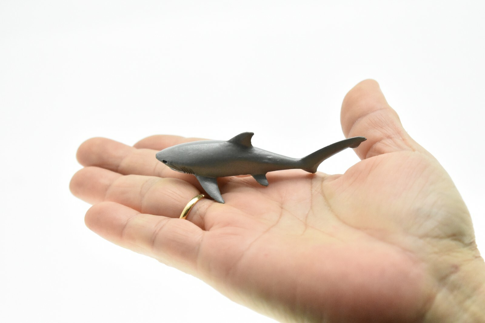 Thresher Shark, Very Nice Plastic Replica 3″ – F1012 B118