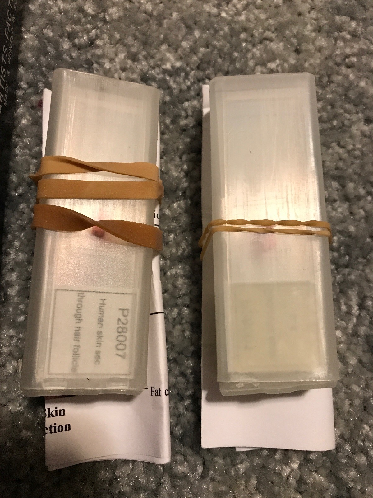 Reading Glass 3” Magnifier Plus Microscope Slides Of Various Scientific Matter