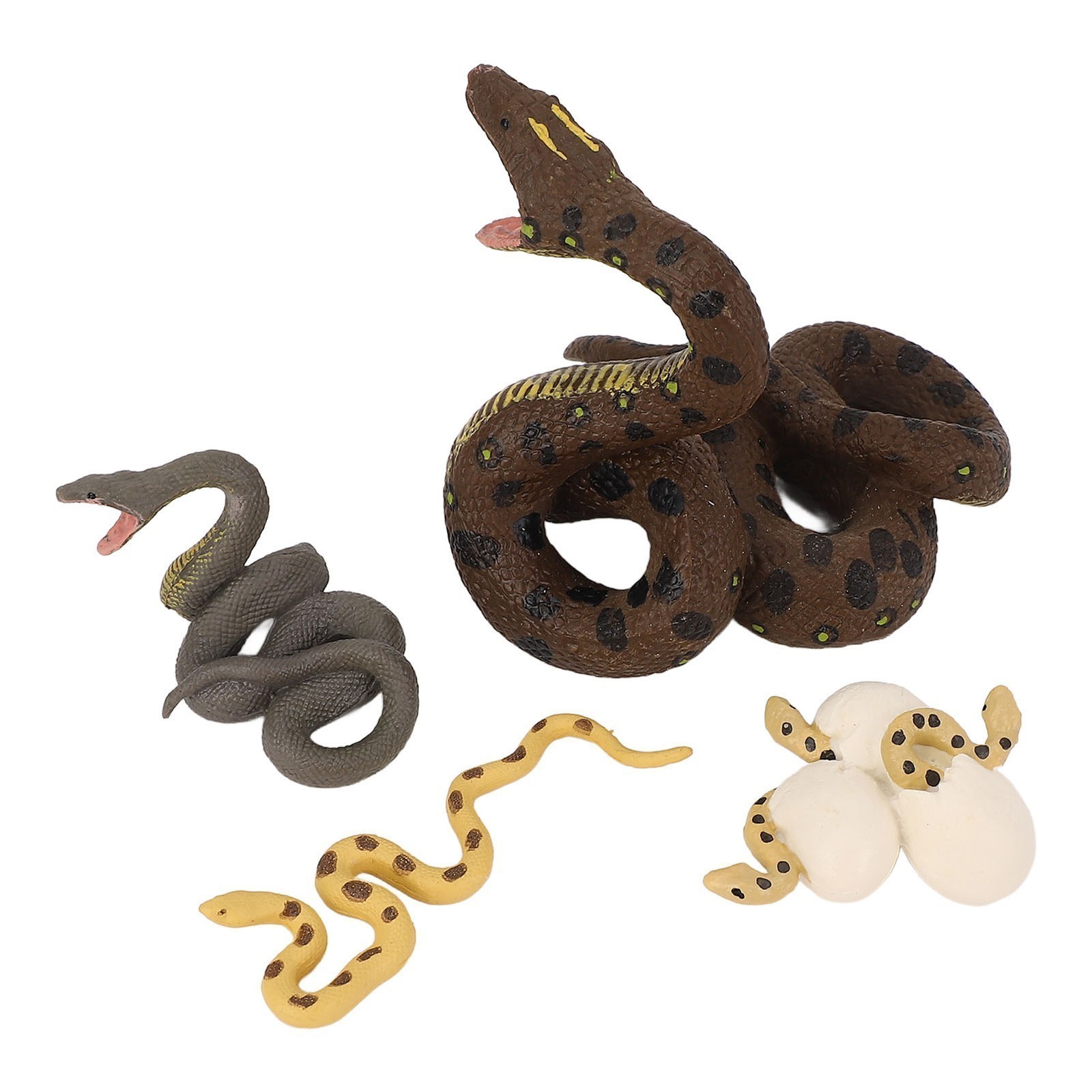 4 Pcs Snake Growth Cycle Model Toys Realistic Educational Play Simulated Snake
