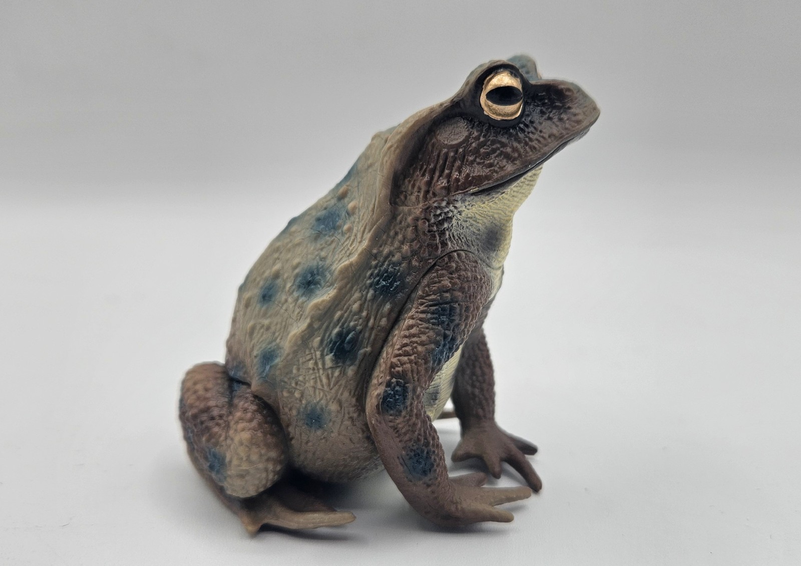Large Toad Figure Toy Child Plastic Gift Figura Sapo Grande Juguete Plástico 229