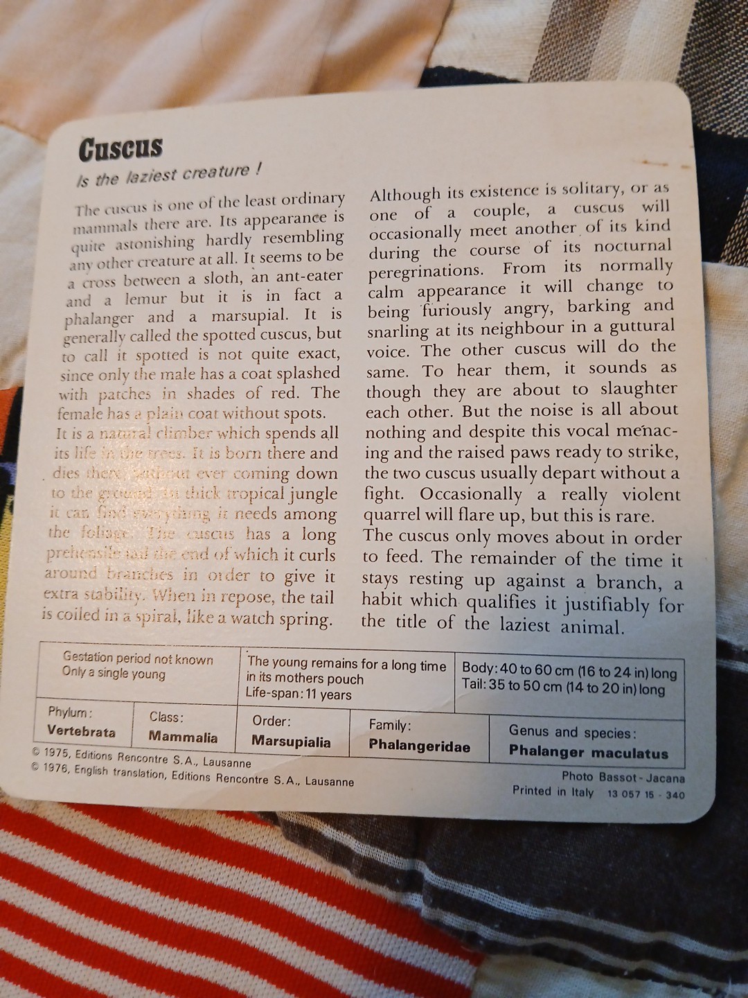 Animal Fact Cards CUSCUS/GIRAFFE/TIGER Ed Rencontre-SA Lausanne Flash Cards 1978