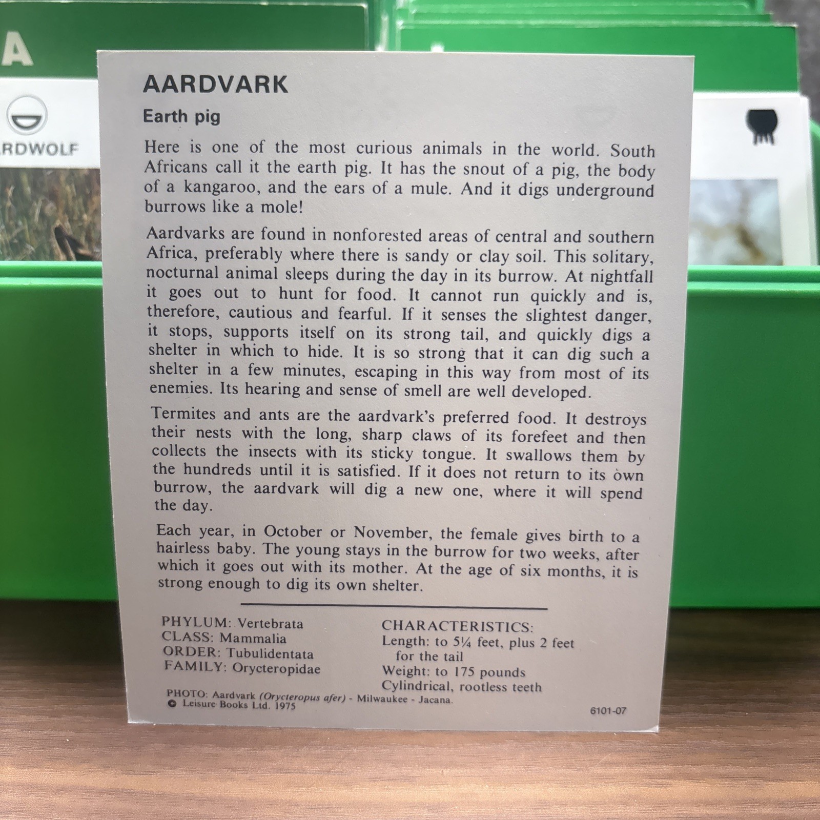 Vintage 1970s-1980s ILLUSTRATED WILDLIFE TREASURY Animal Cards With Green Case