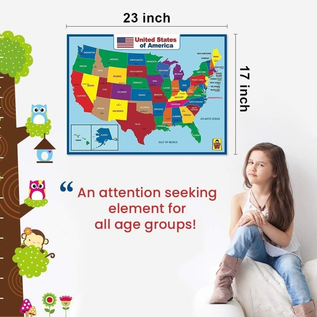 United States Map Laminated Poster – Educational Dry Erase Double Side