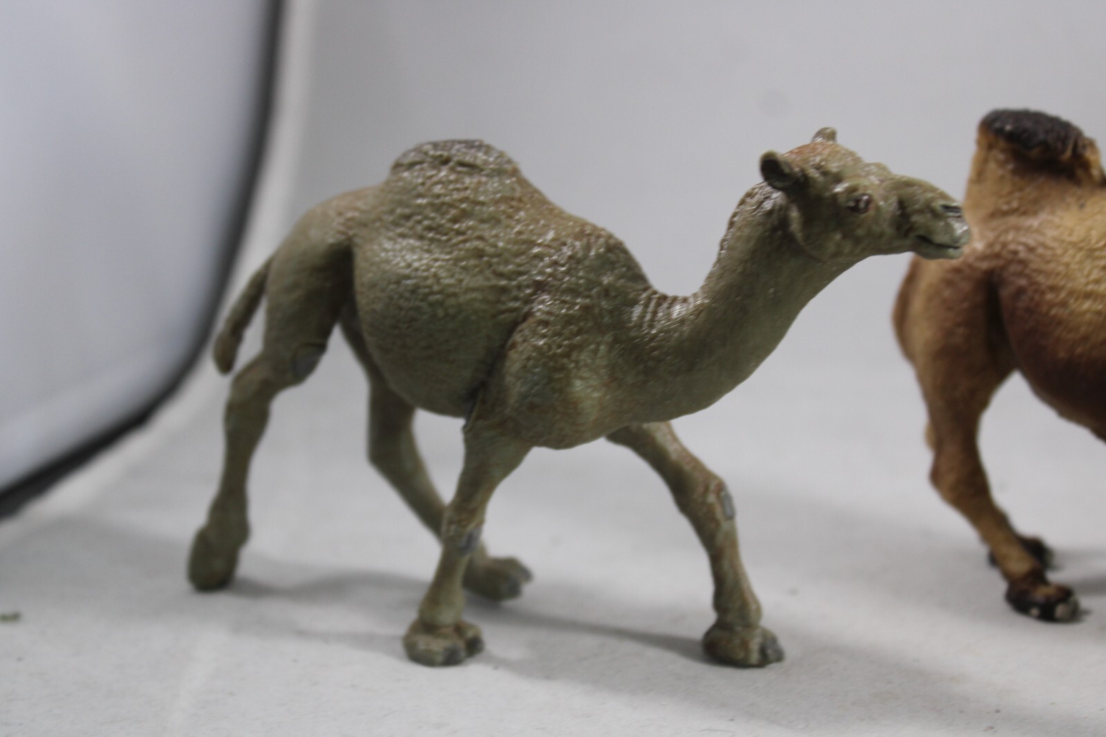 DROMEDARY Bactrain CAMEL Animal Figurine Safari Ltd. toy Figure Giraffe