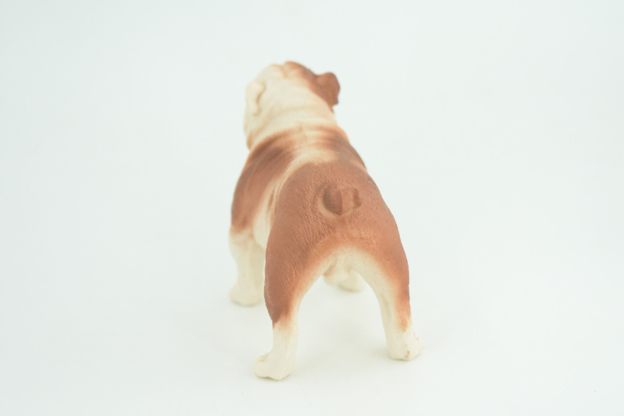 English Bulldog Toy, Realistic Hand Painted Rubber Model, 5 Inches CH844 BB197