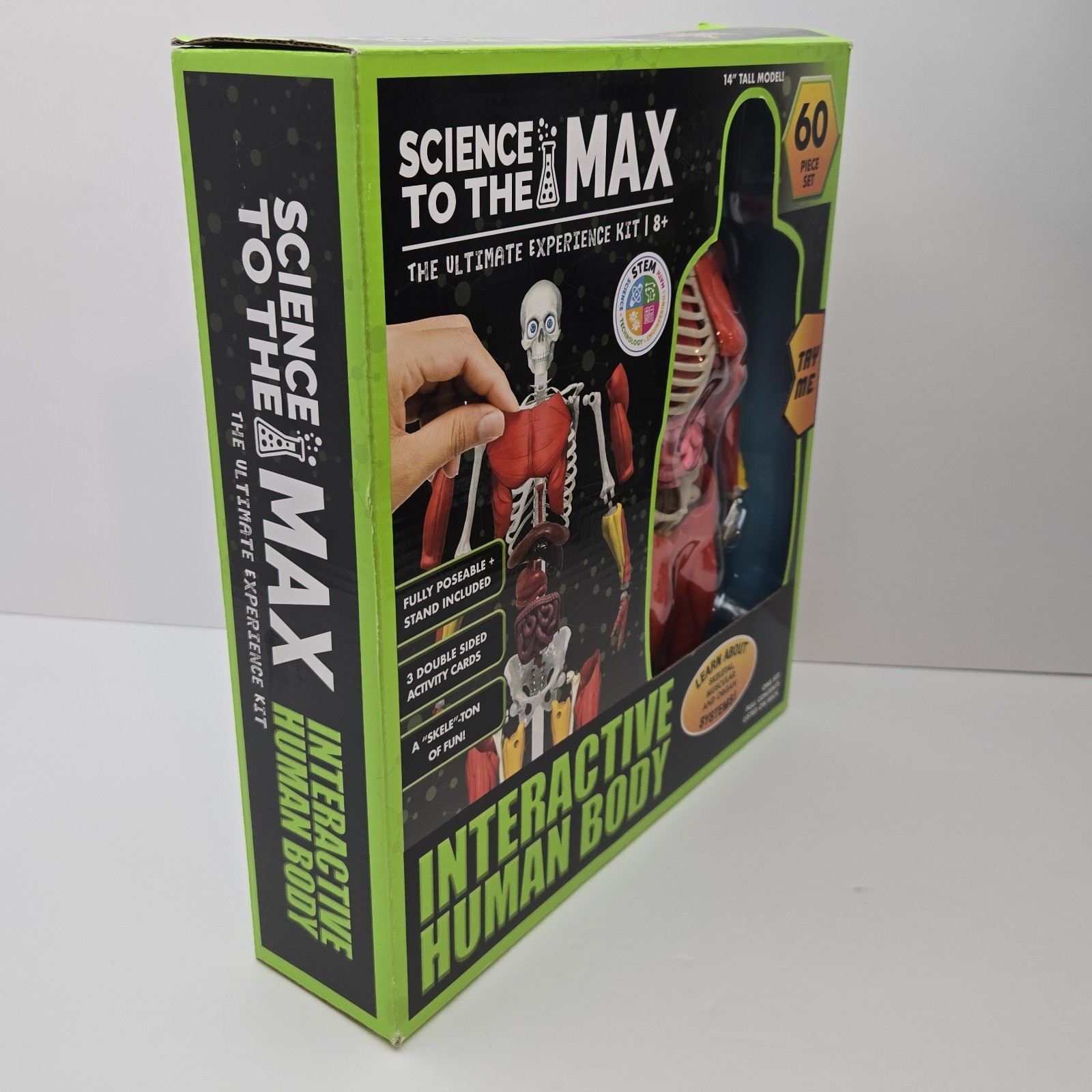 3D Human Body Puzzle Model STEM Toy by Be Amazing! Toys is an educational design