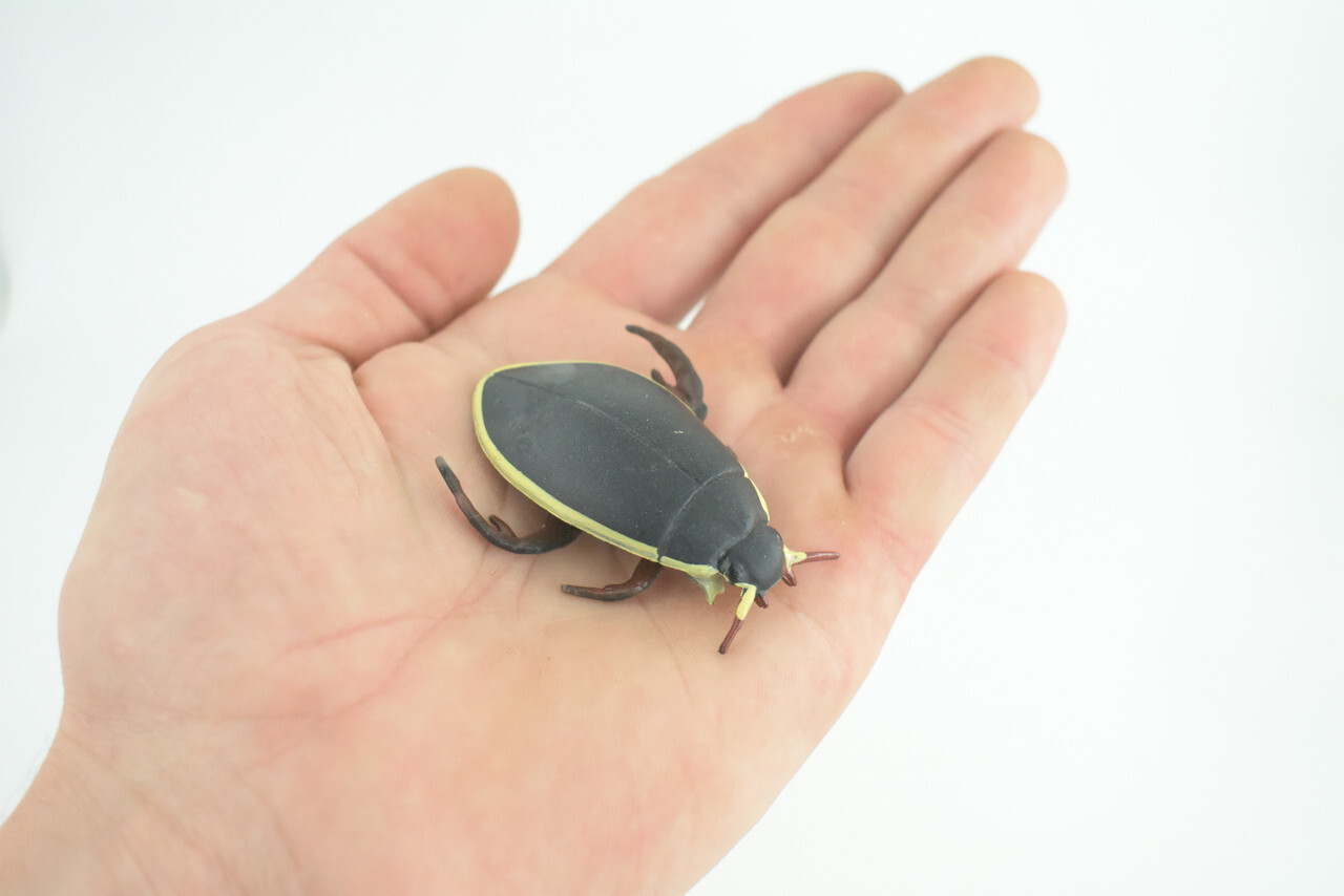 Yellow Edged Diving Beetle Toy Realistic Hand Painted Rubber 2.25″ CH857 BB198