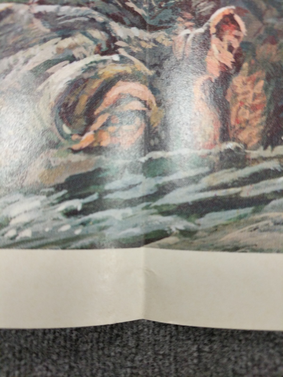 Peabody Fossum Vintage Jungle Wild Animals & Pirates 1966 School 2 Poster Lot #4