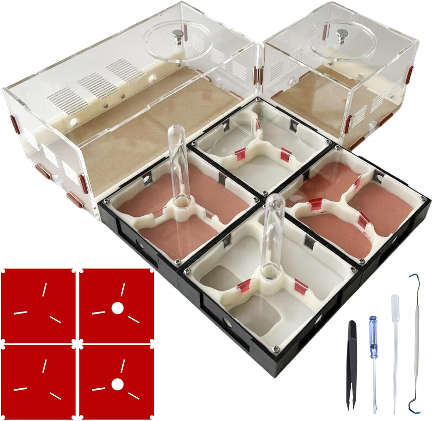 Ant Farm Nest Science DIY Terrarium Kit Care for Live Ants Ant Habitat with Wate