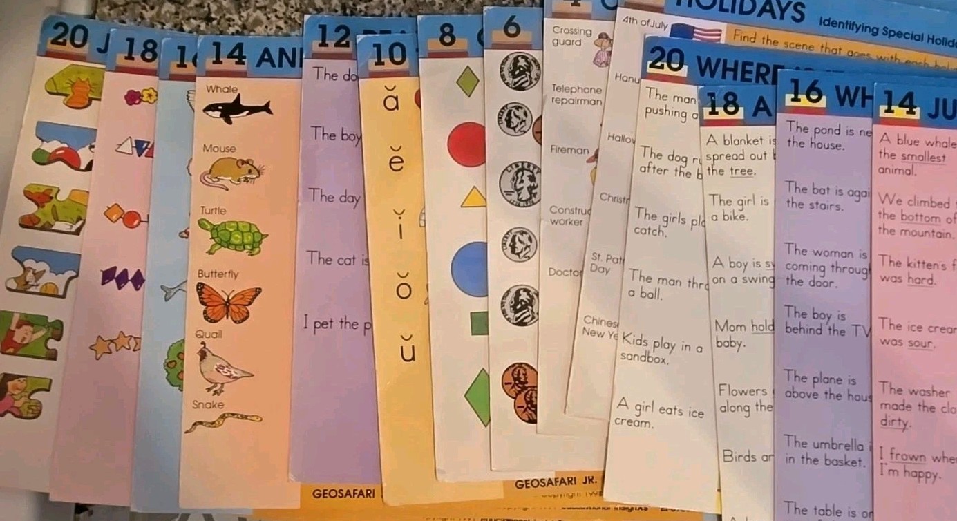GeoSafari Electronic Homeschooling Learning System EI 8700 VINTAGE W/20 Cards