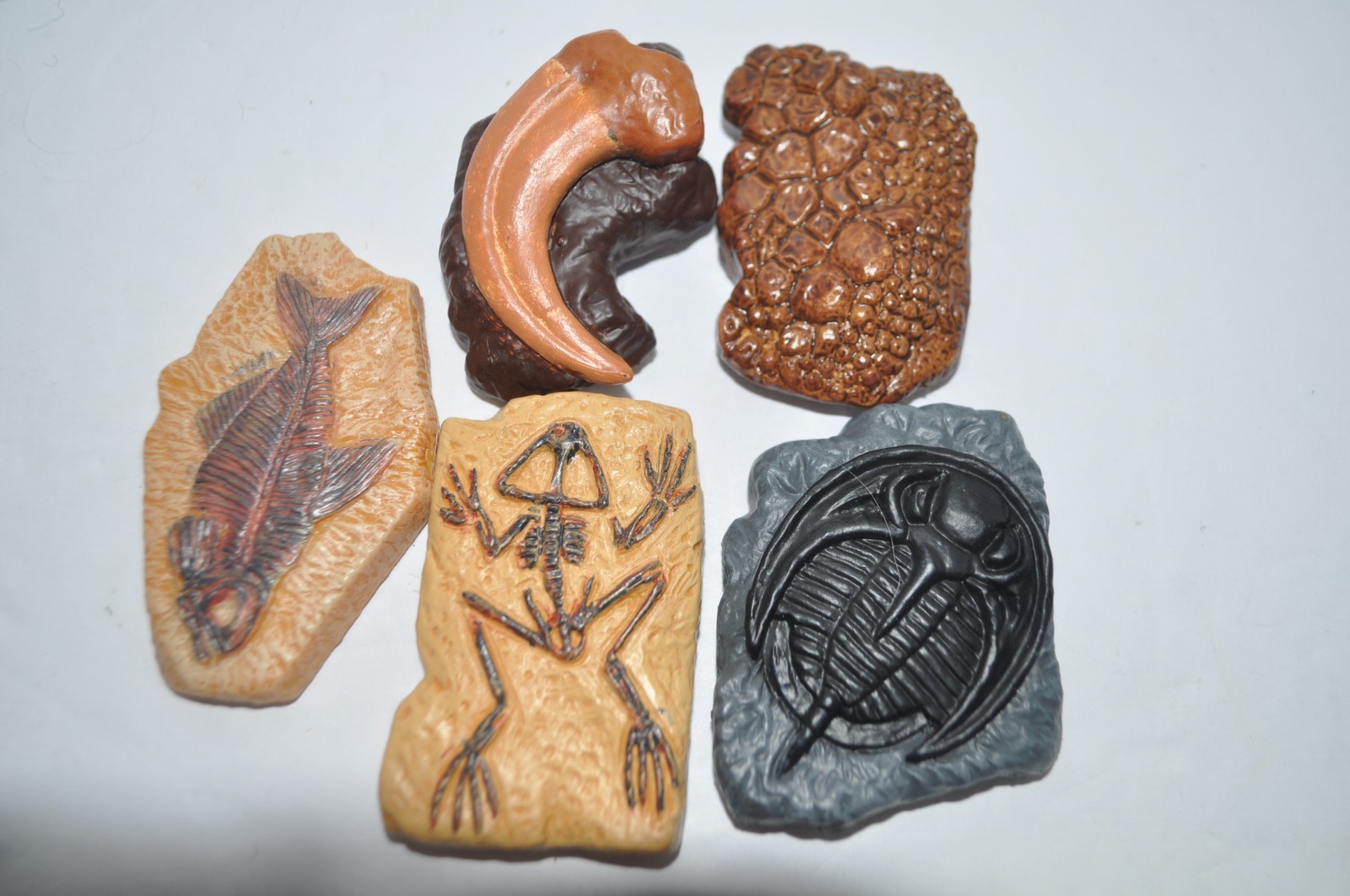 Safari Ltd Ancient Fossils Toob Miniature Collectibles 2009