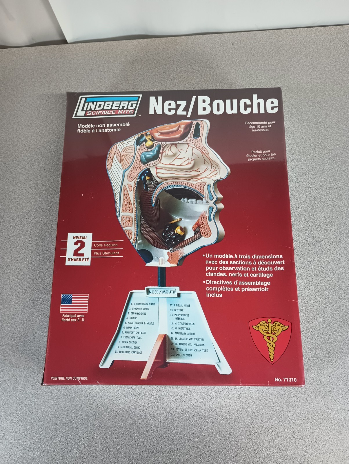 Lindberg Science Kits Nose/Mouth Unassembled Anatomically Accurate Kit (NEW)