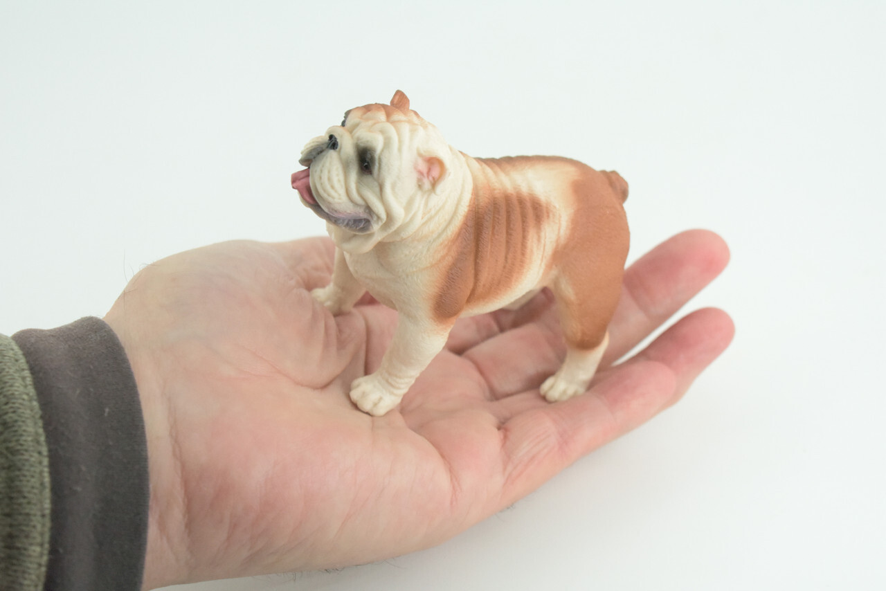 English Bulldog Toy, Realistic Hand Painted Rubber Model, 5 Inches CH844 BB197