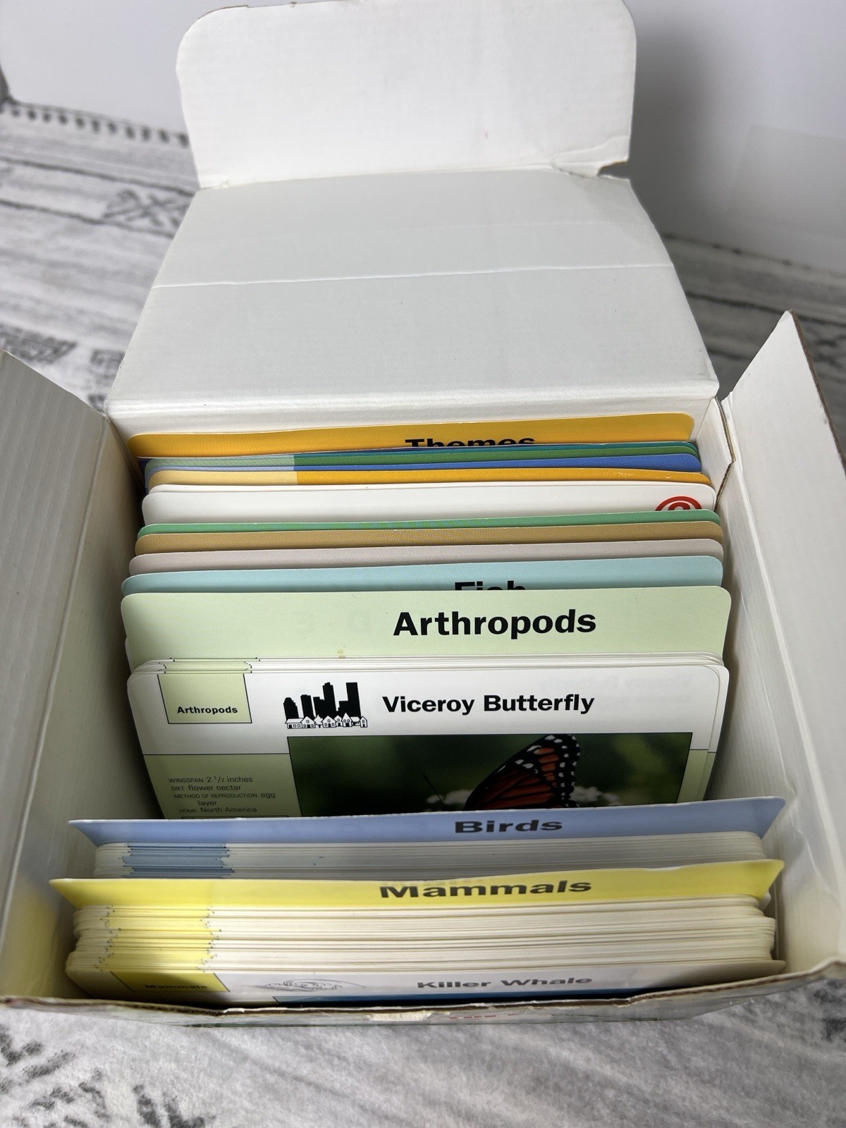 Grolier Wildlife Adventure Cards Box Animals Educational Homeschool 1990s