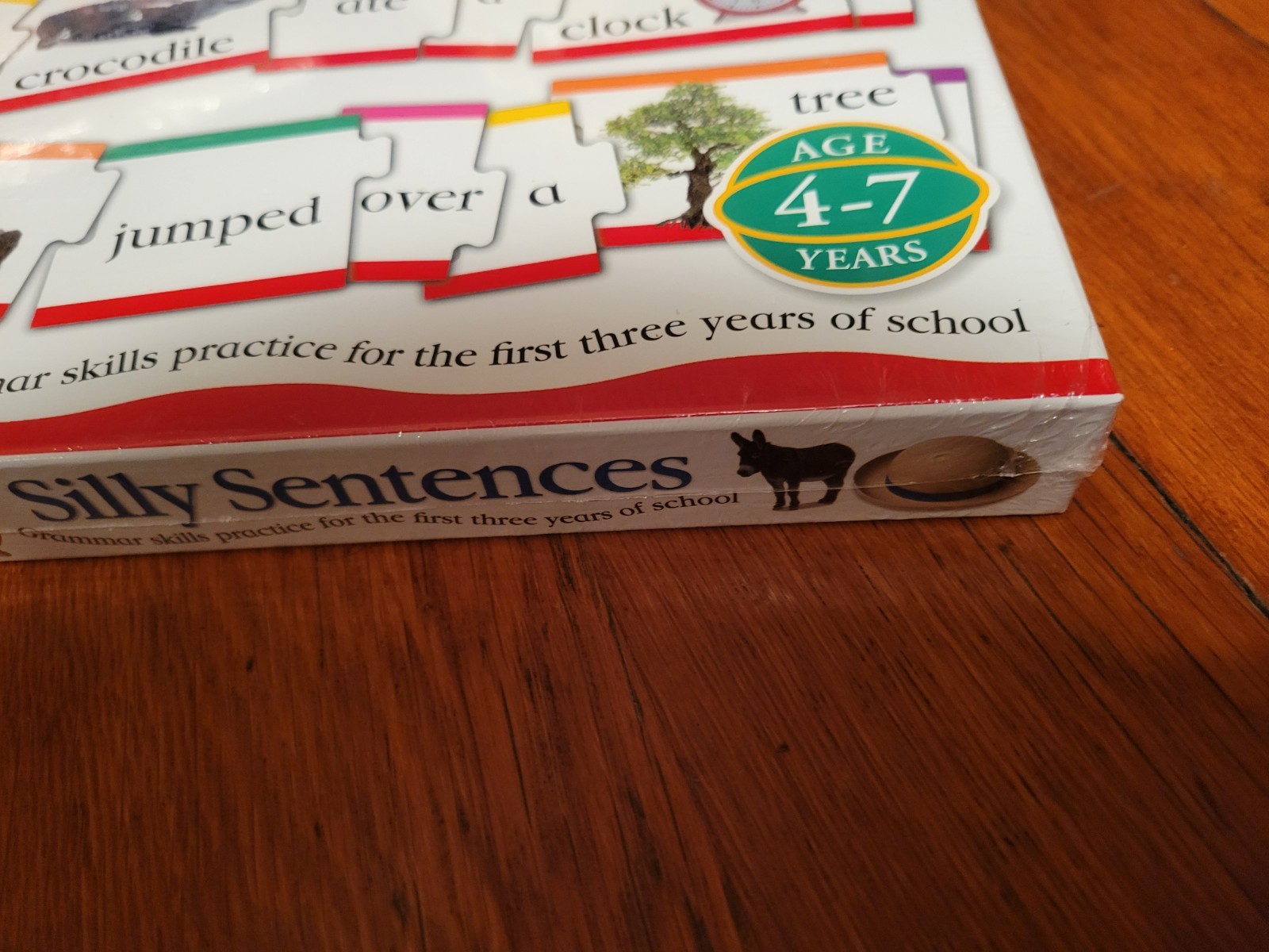 DK Publishing Silly Sentences Grammar Sentence Building Skills K-2nd Grade Class