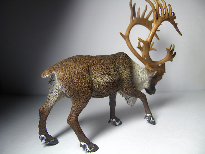 2017 NEW Collecta Animal Toy / Figure Woodland Caribou