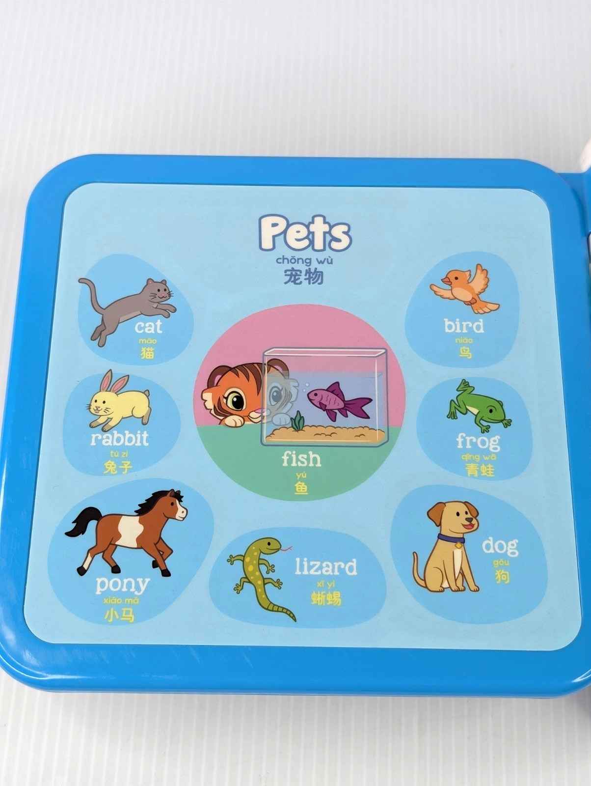 Leap Frog Learning Friends 100 Words Book English – Chinese Rare Tested Working