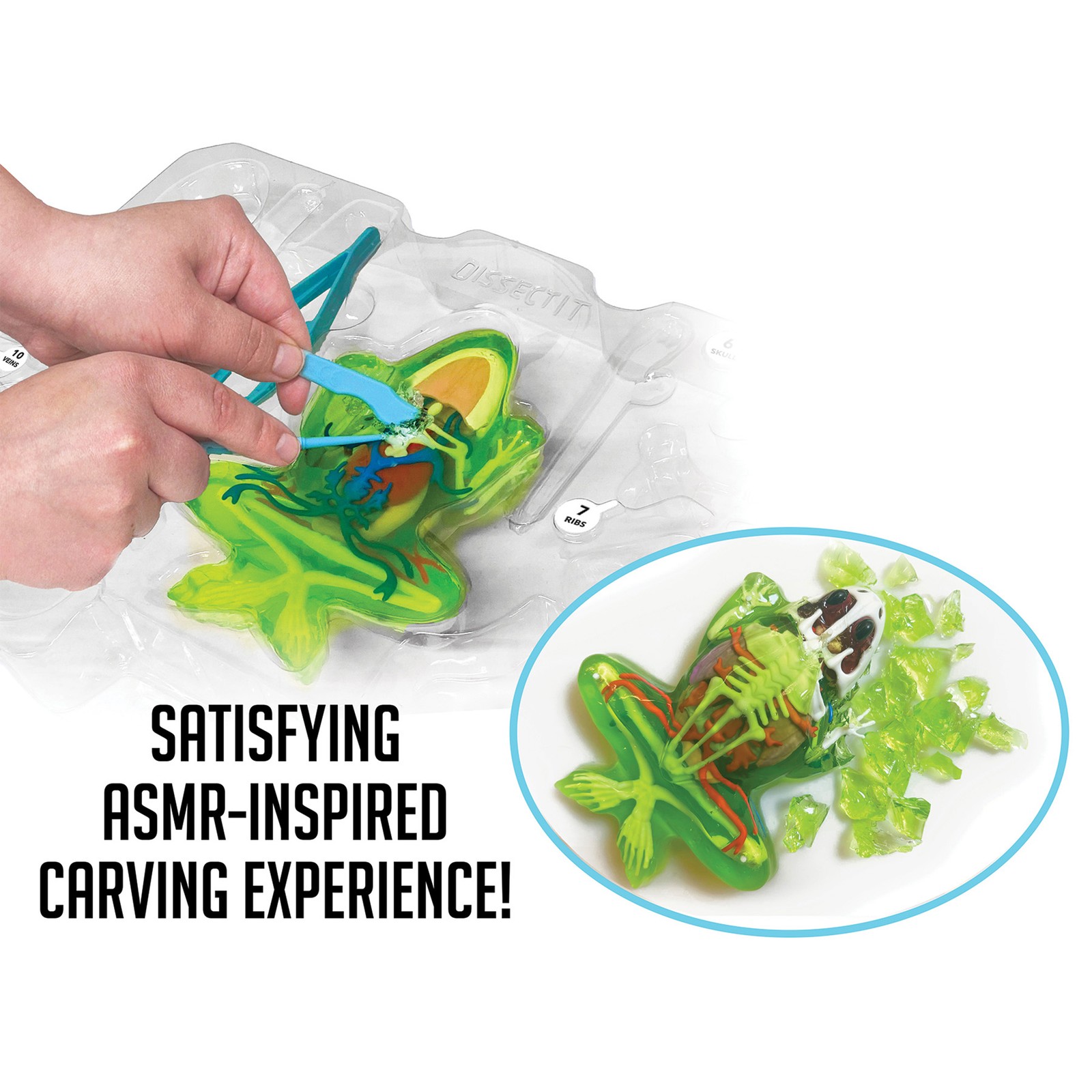 Top Secret Toys: Dissect-It, Deluxe Super Frog Lab, Science Kit, Kids