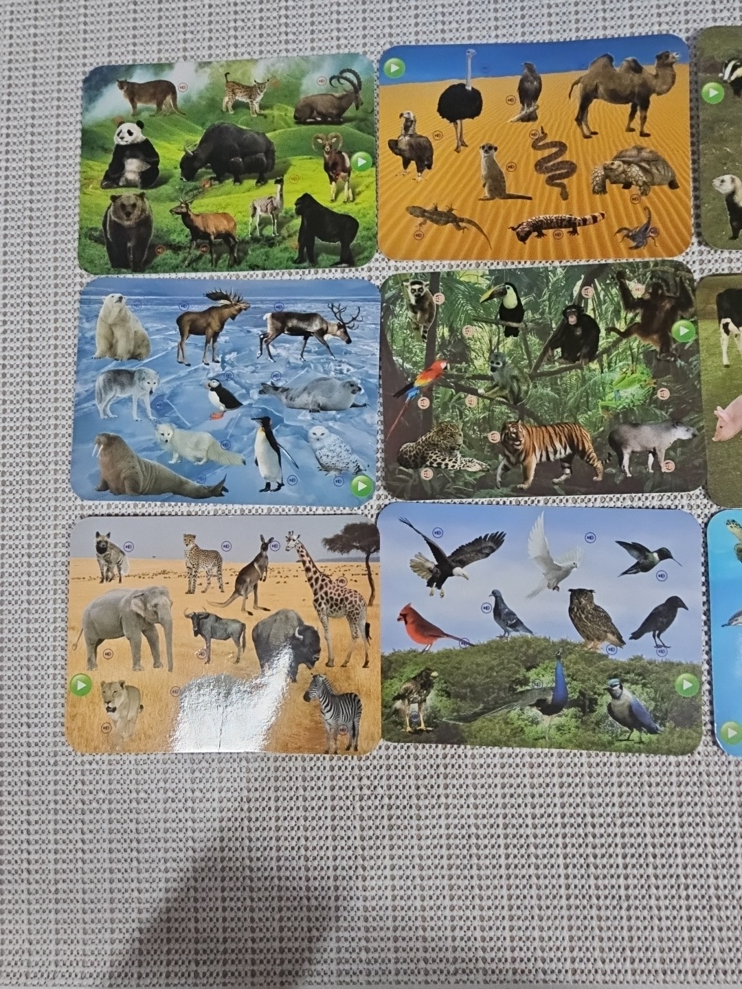 Smart Play Pad Game Electronic Learning Animal Planet Animals Of The World 3+