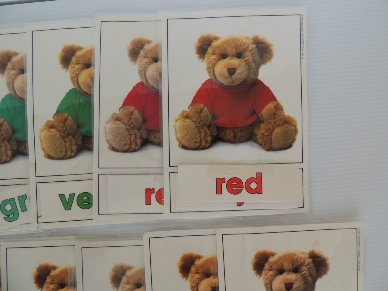 English & Spanish teddy bear Colors large 6 x 8-inch 19 pc