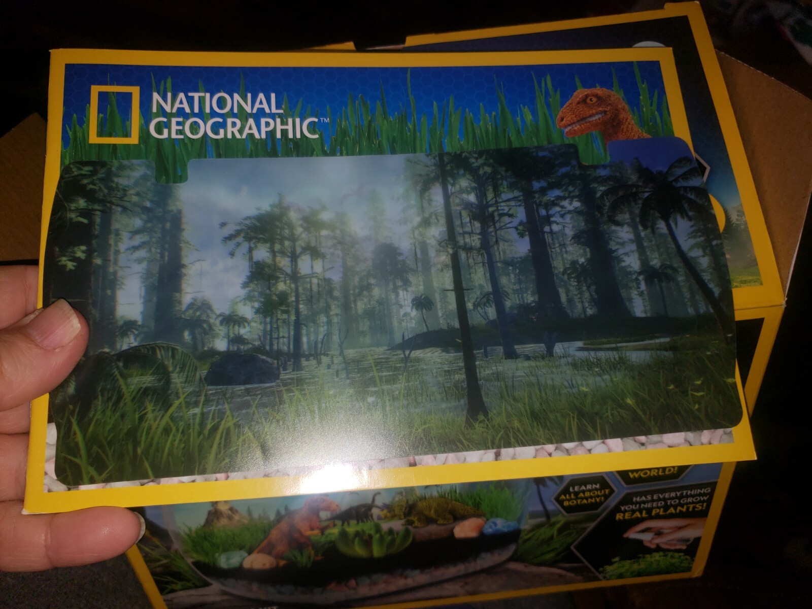 NATIONAL GEOGRAPHIC Light Up Terrarium Kit Dinosaur Habitat STEM Botany NIB