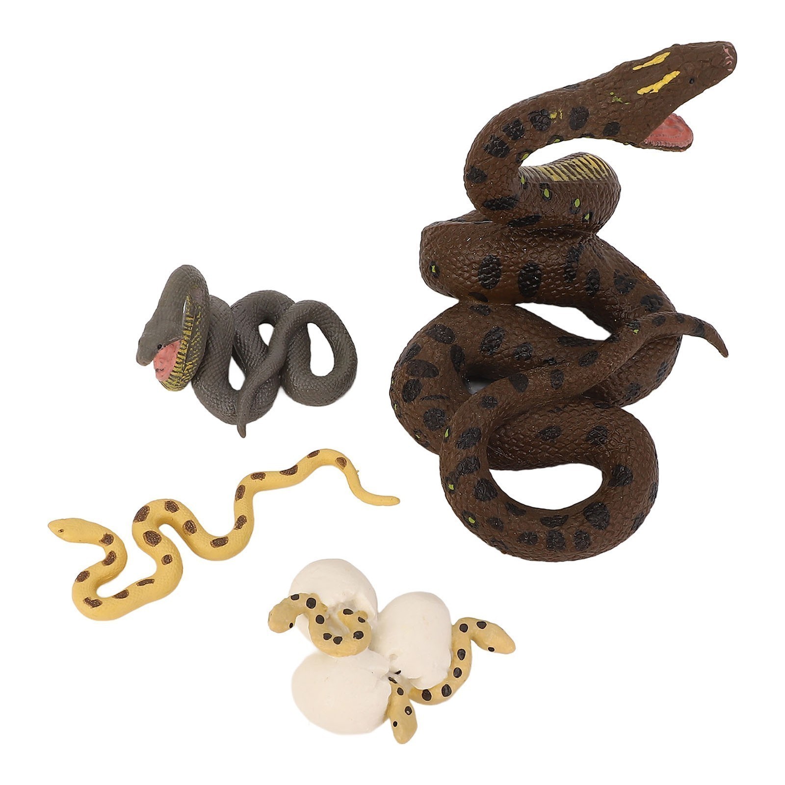 4 Pcs Snake Growth Cycle Model Toys Realistic Educational Play Simulated Snake