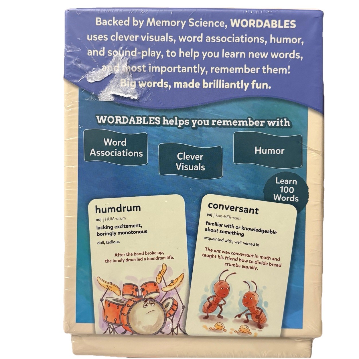 Skillmatics Vocabulary Flash Cards for Kids – Learn 100 Words with Wordplay Lvl2