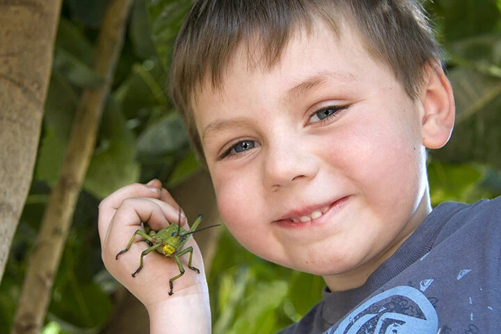 Outdoor Fun Youth Bug Catching Kit (283682) Ages 4+. Free Shipping.
