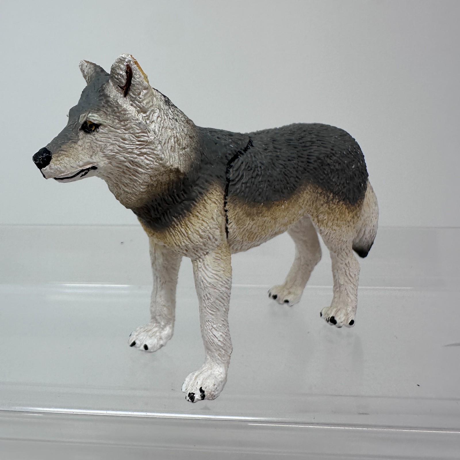 Safari Ltd Gray Wolf Figure Wild Dog Wildlife Zoo Jungle Animal Figurine 4″ 2020