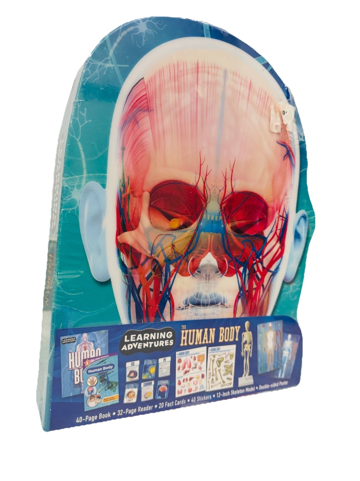 Adventures in Science: The Human Body Interactive Learning Kit 3D