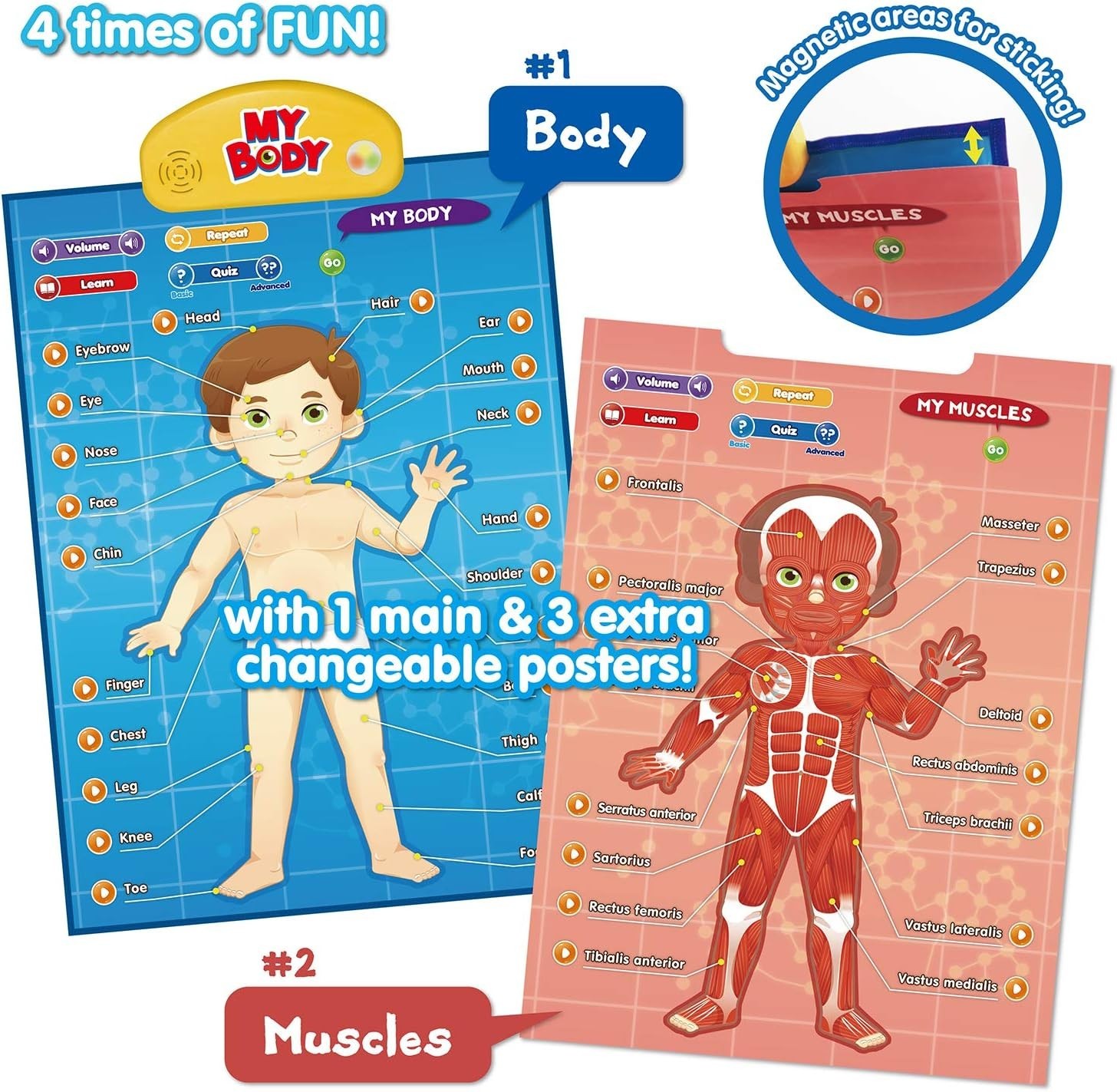 BEST LEARNING i-Poster My Body – Interactive Educational Human Anatomy Talking T