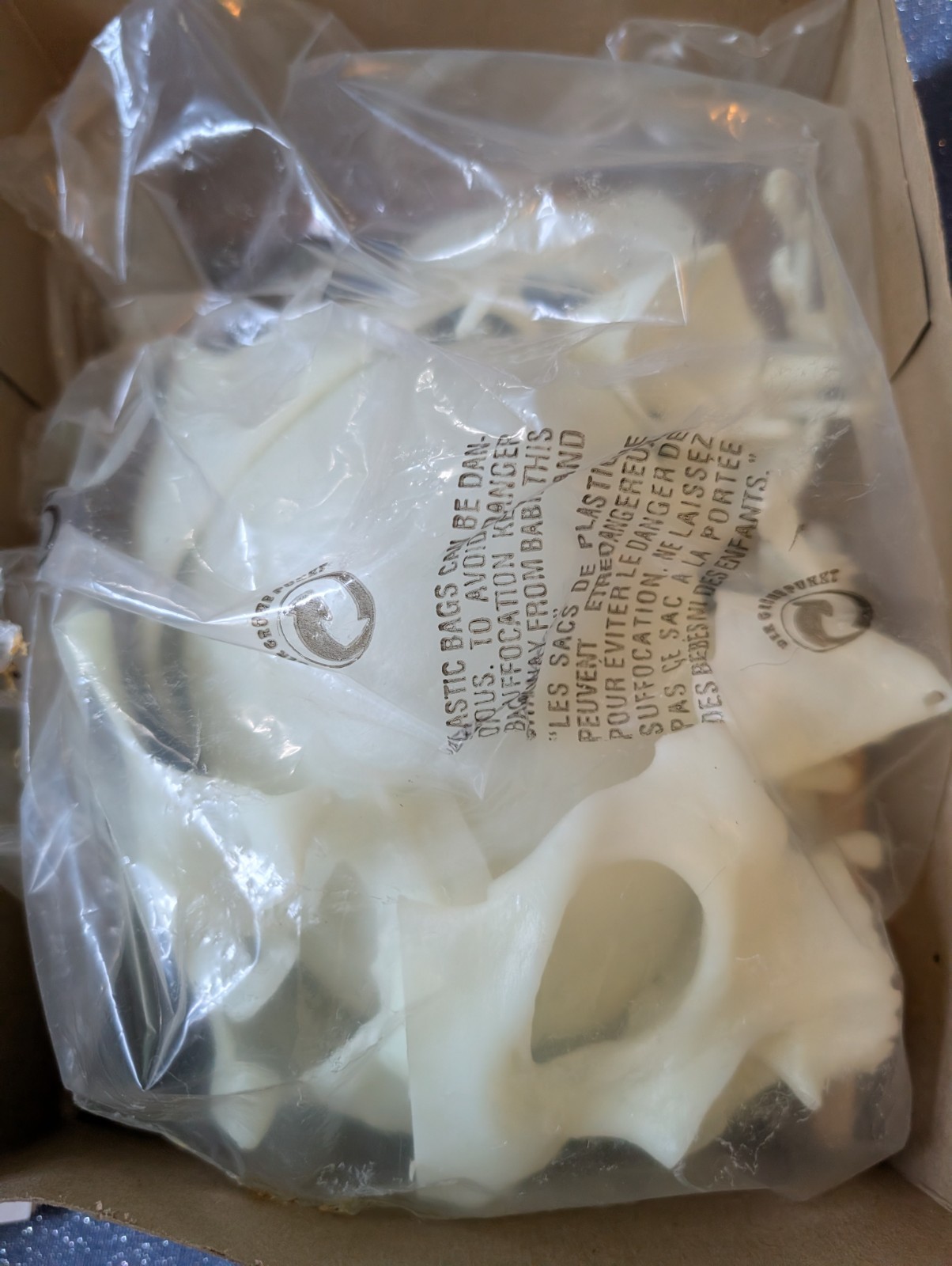 1993 Vintage Skilcraft Life-Size Human Skull Anatomy Kit