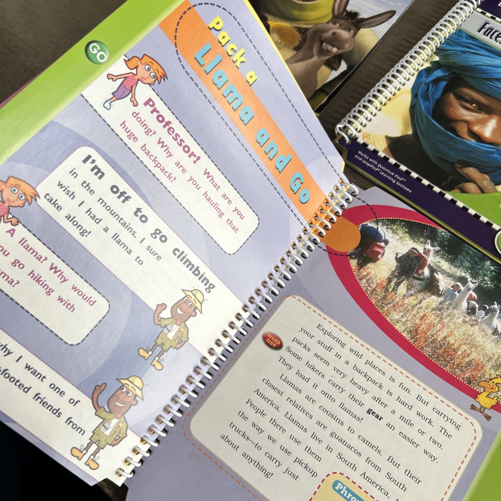Leapfrog Leappad QuantumPad Shrek Animals Dinosaur Book & Cartridge Game Lot