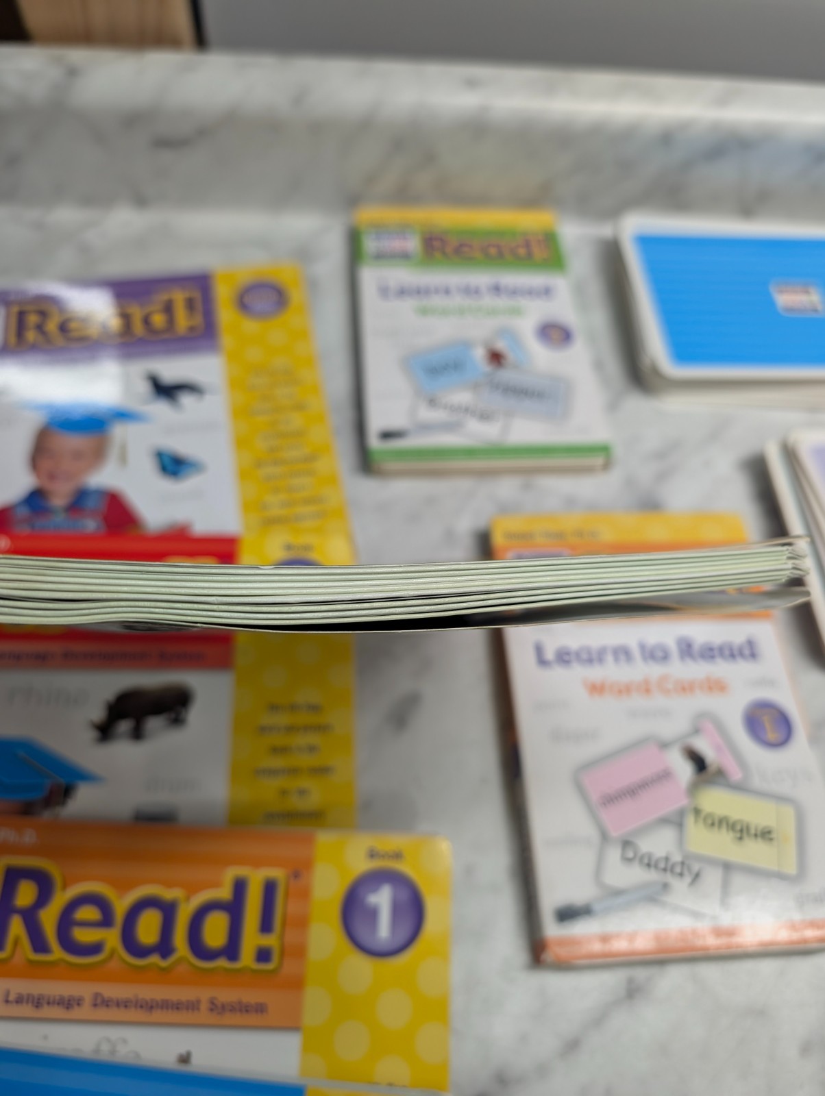 Your Baby Can Read Early Language Development System Books & Word Cards Lot