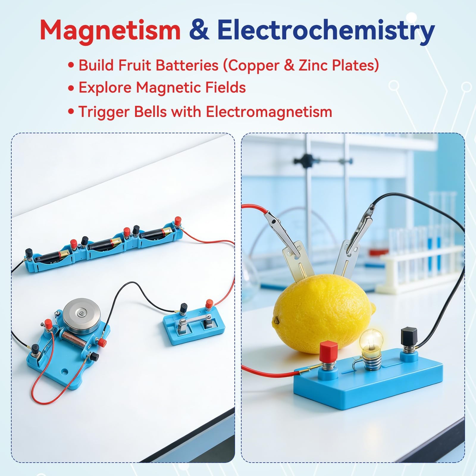 Science Magnet Kit for Students with Bar/Horseshoe/U Shaped/Iron Filings/Comp…
