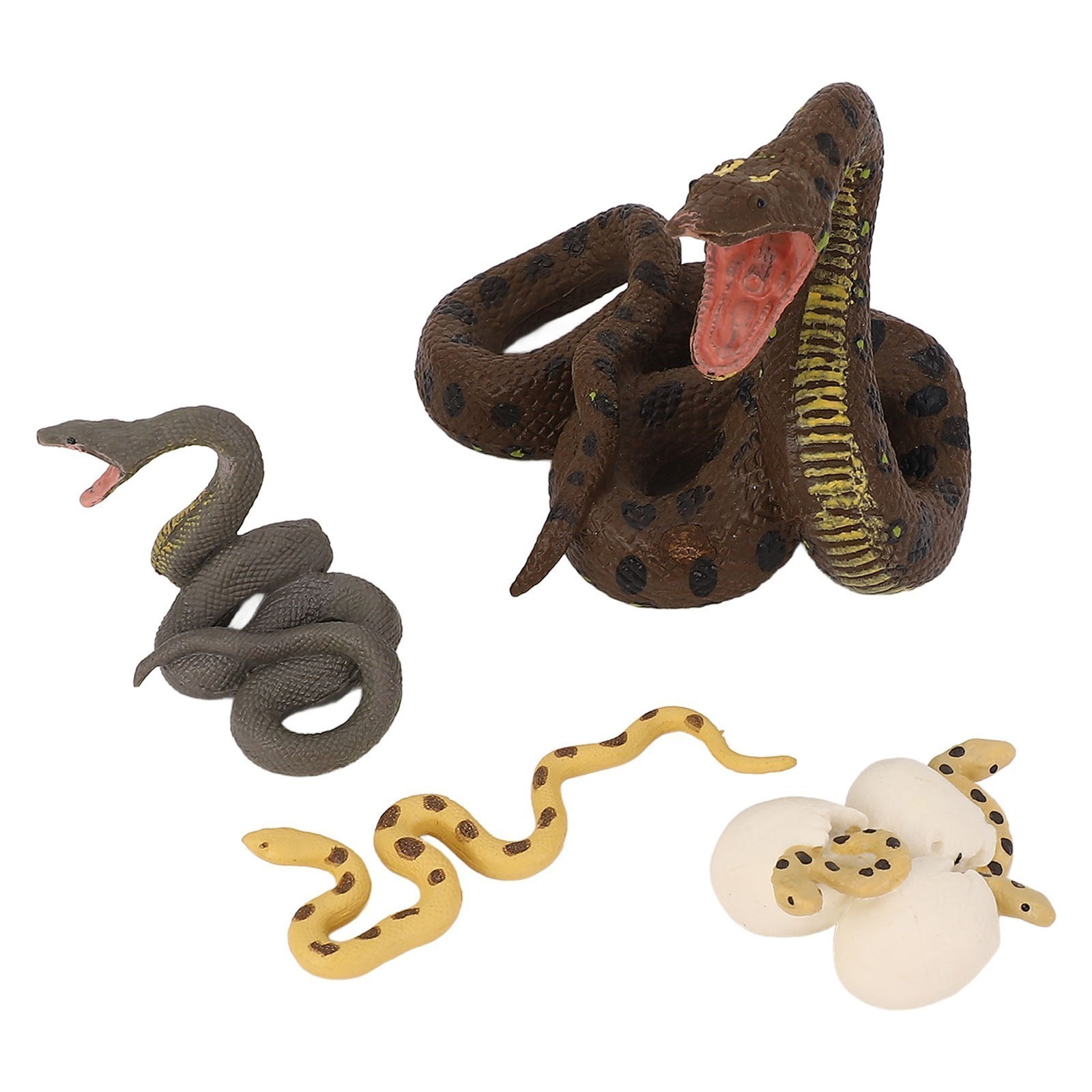 4 Pcs Snake Growth Cycle Model Toys Realistic Educational Play Simulated Snake