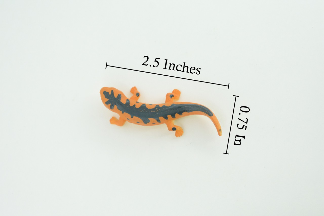Eastern Orange Newt, Toy Lizard, Hand Painted Rubber, Realistic 2.5″ WR38 B197