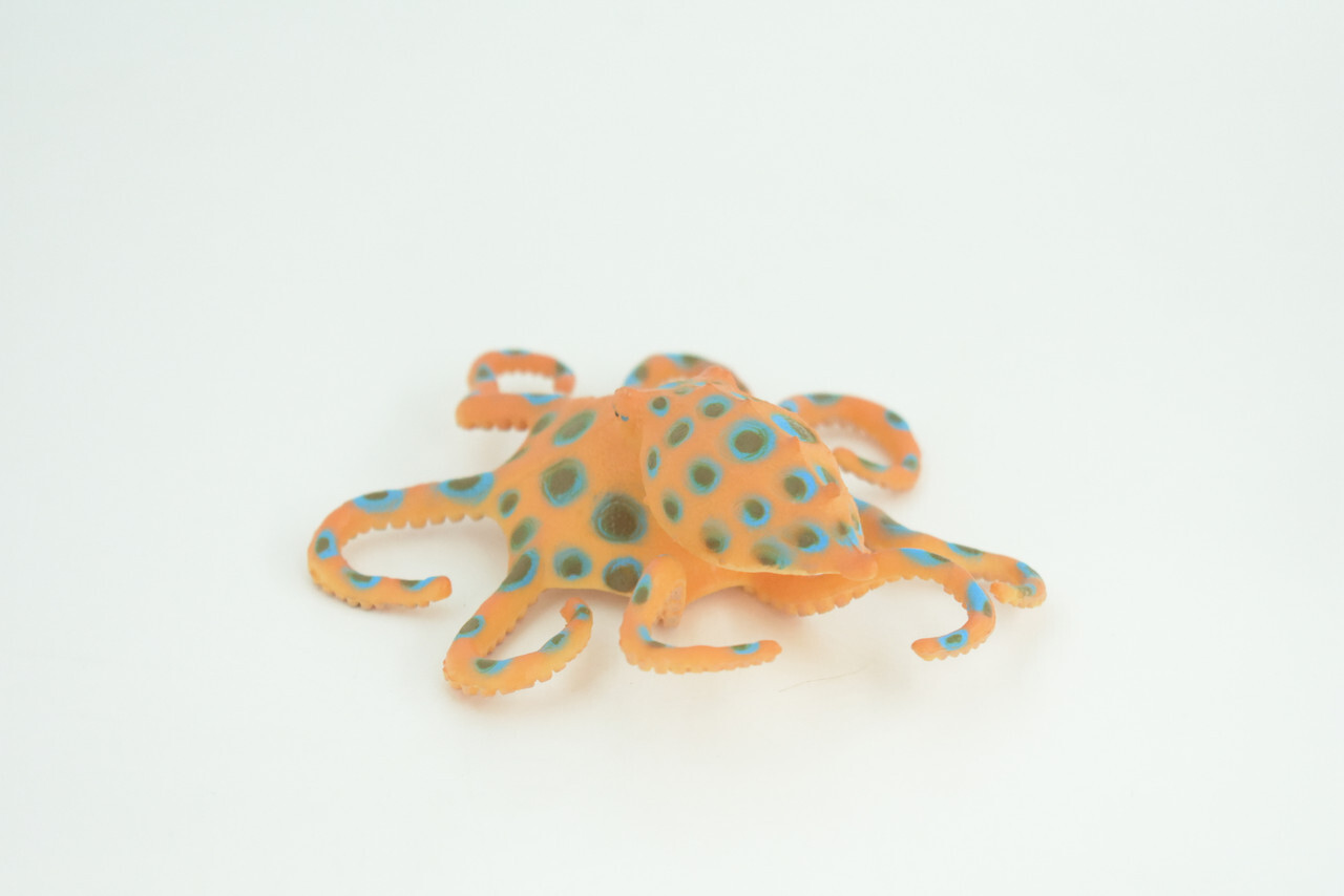 Blue Ringed Octopus Toy, Realistic Hand Painted Rubber Model, 4 1/2″ CH850 BB197