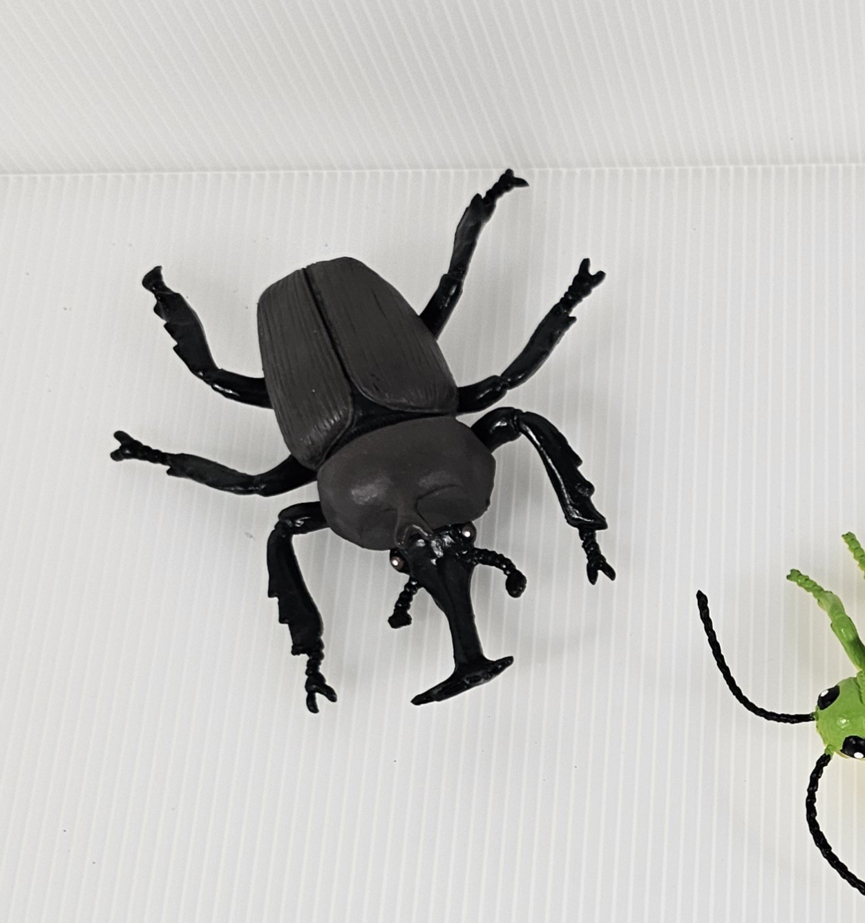 4 Large Bugs Collection, Grasshopper, Beetles