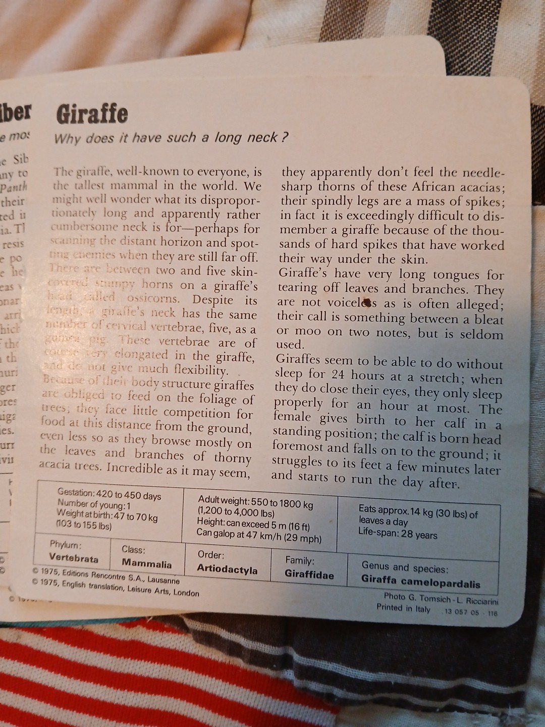 Animal Fact Cards CUSCUS/GIRAFFE/TIGER Ed Rencontre-SA Lausanne Flash Cards 1978