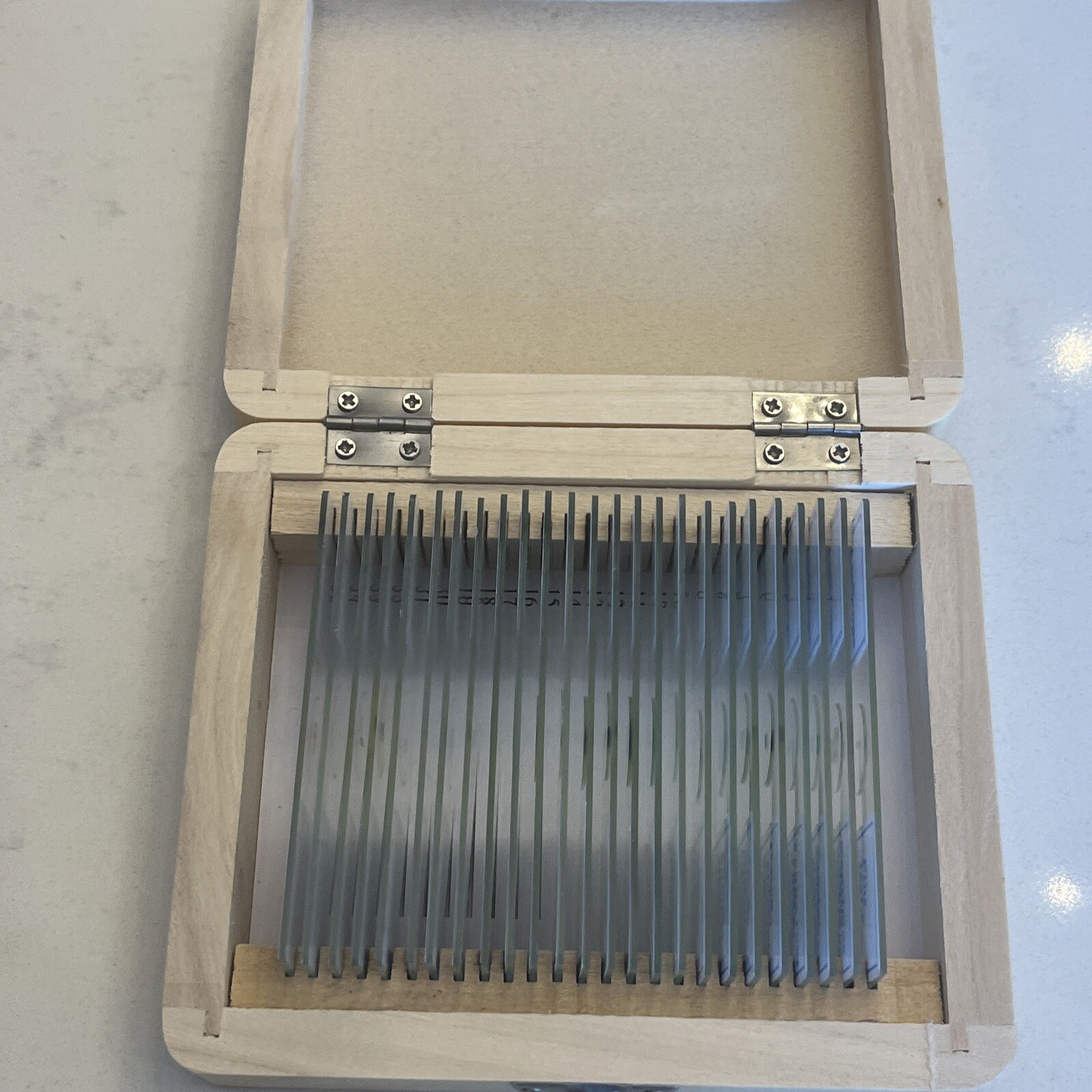 AmScope 25 Prepared Biology Microscope Glass Slides in Wooden Box B49/158