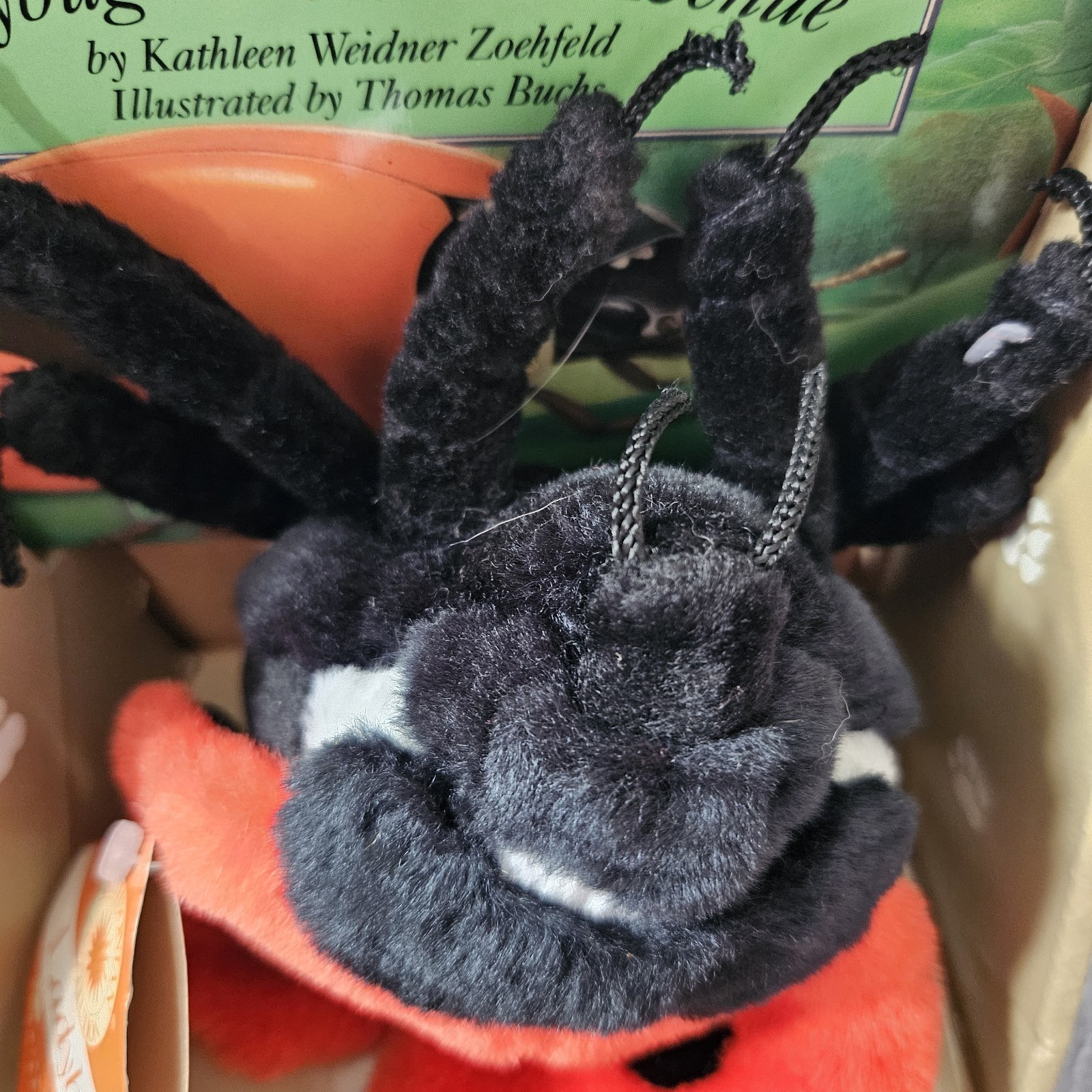Smithsonian Nature Science Ladybug/Frog Book & Stuffed Animal Plush Toy Lot of 2