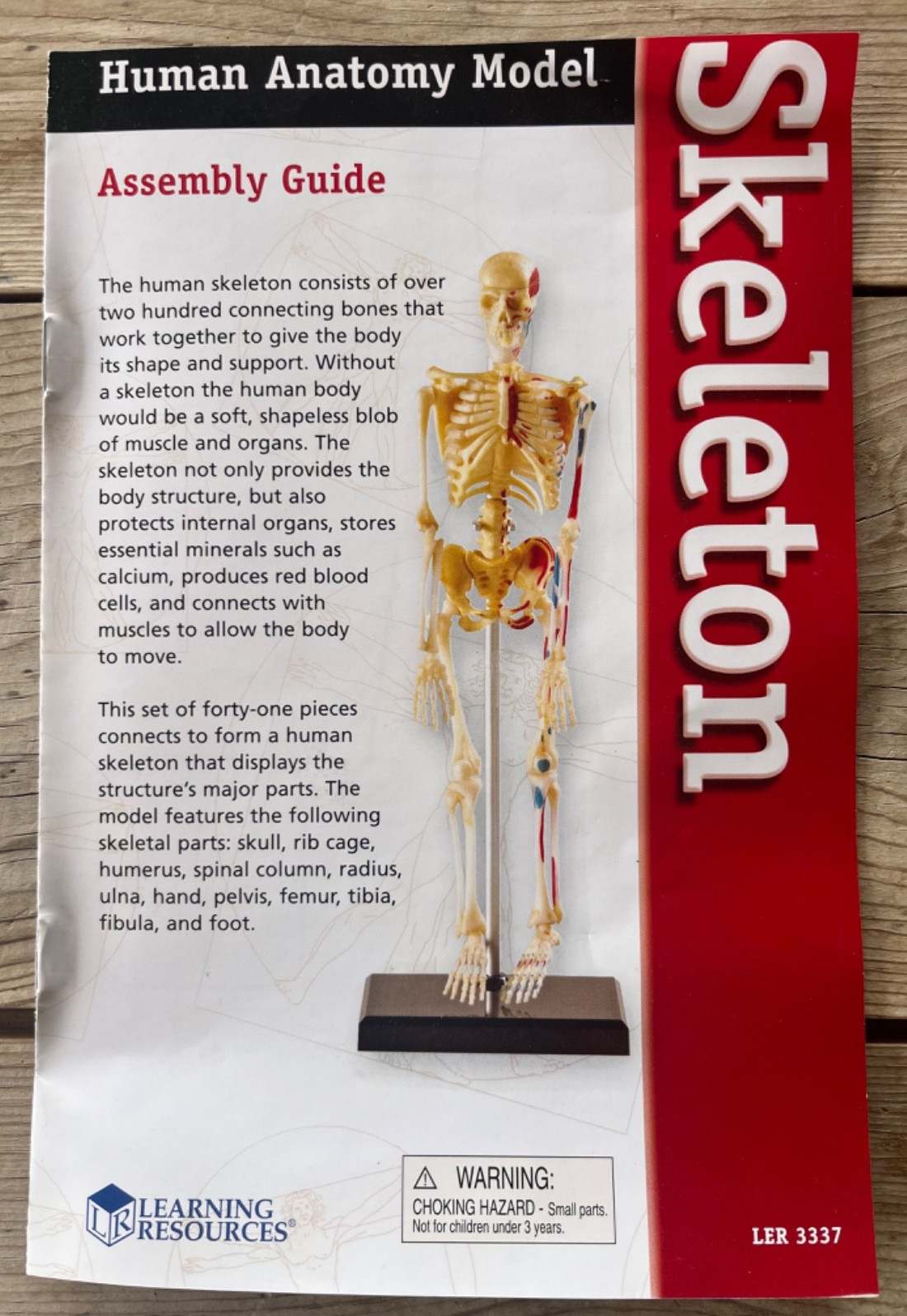 Human Anatomy Model Skeleton 41 Pieces Ages 8+ Learning Resources