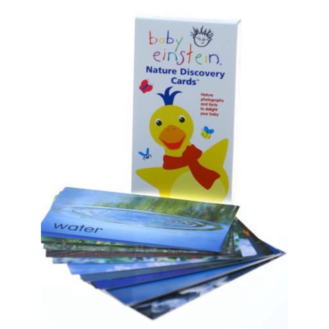 Baby Einstein Nature Discovery Cards 2003 Walt Disney Company 29 cards
