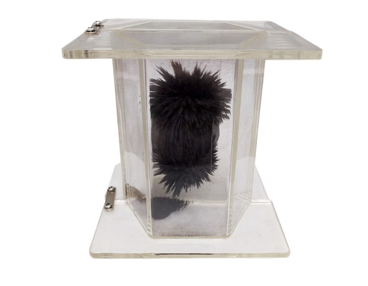 Magnetic Lines of Force Demonstrator 1