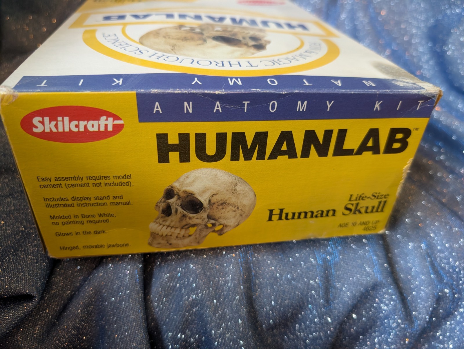 1993 Vintage Skilcraft Life-Size Human Skull Anatomy Kit